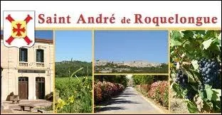 Comment appelle-t-on les rsidents de la commune de Saint-Andr-de-Roquelongue ?