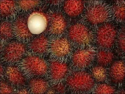 Quel est le nom de ce fruit qui est peu commun ?