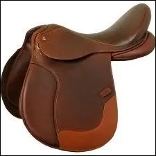 Comment appelle-t-on une monte sans selle ?