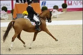 Quelle est cette discipline ?