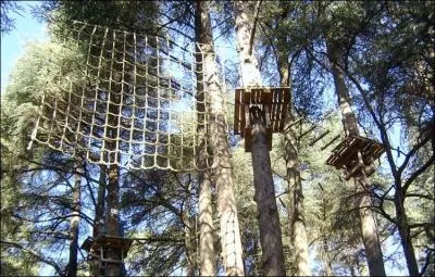 Quel est ce sport qui se pratique dans les arbres ?