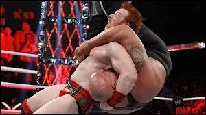 Compltez le nom de cette prise appartenant  Sheamus : White ... ... .