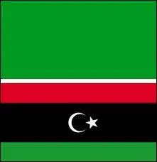 Quel pays a eu ces deux drapeaux ?