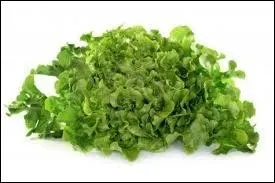 Quel est ce lgume ?
