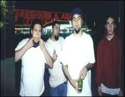 Quel groupe enregistre  Around The Fur  en 1997 ?