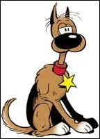 Comment s'appelle ce chien ?