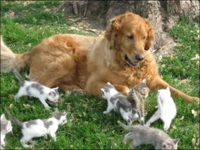 Regardez la photo et trouvez la citation !