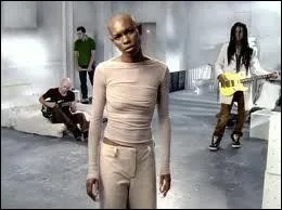 Le titre  Hedonism  fut un succs incontournable en 1996. Comment se nomme le groupe qui en est l'auteur ?