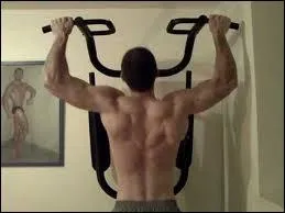 Quelle partie du corps est principalement mise  contribution lorsque vous effectuez vos tractions  la barre fixe ?