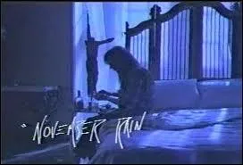  November Rain  fut un succs musical en 1991 : quel groupe en est l'auteur ?