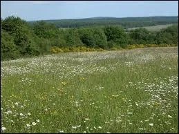 La Prairie est un ancien modle de...