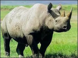 Quel est cet animal ?