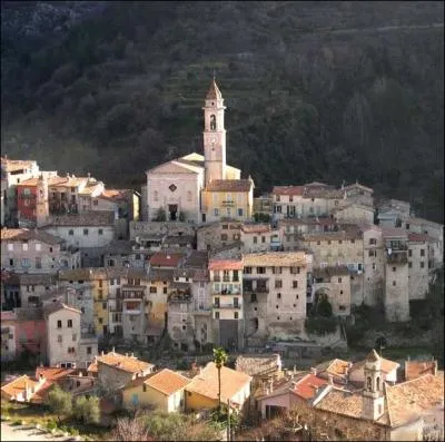 Verrou stratgique sur la route du sel qui reliait Nice  Turin, un petit village mdival, comme une sentinelle vit paisible au milieu des oliviers et de ses glises baroques ... .