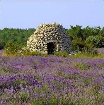 Quel nom donne-t-on en Provence  ces cabanes de pierres sches qui servait au paysan dans une parcelle loigne du village  y remiser ses outils ?