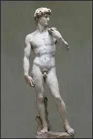 Comment se prnomme le bel phbe de Michel-Ange, un chef-d'oeuvre de la sculpture de la Renaissance ?