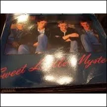 Qui chante  Sweet Little Mistery  en 1987 ?