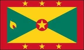 Quel est le nom de la capitale de ce drapeau en toiles ?