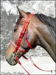 Quel est cet accessoire ?