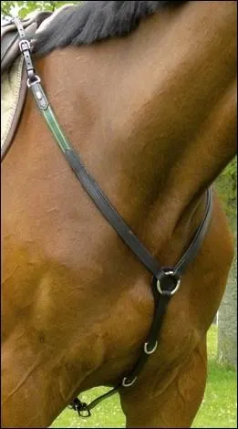 Quel est cet quipement ?