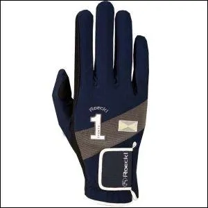 Quel est cet accessoire ?