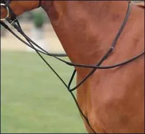 Quel est cet accessoire ?