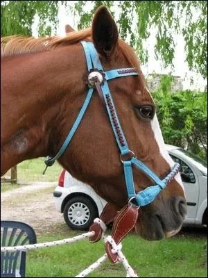 De quel quipement s'agit-il ?