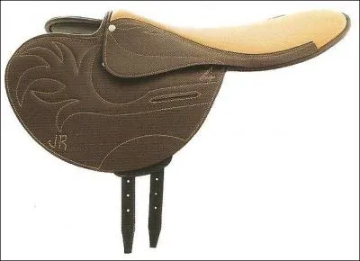 De quel accessoire s'agit-il ?