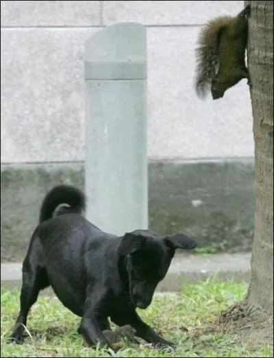 La question que je vous demande de trouver concerne un animal que l'on appelle �galement lima�on !