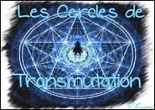 Le matre des deux frres a lui aussi transgress les rgles en ralisant une transmutation humaine. Qui voulait-elle ressusciter ?