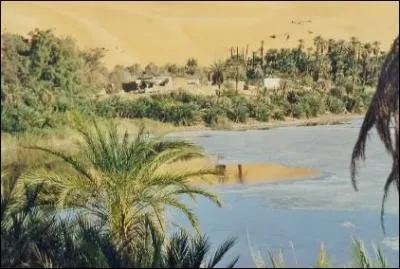 Un ou une oasis ?