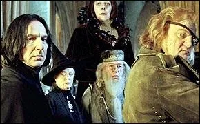 Qui est le professeur de potions ?