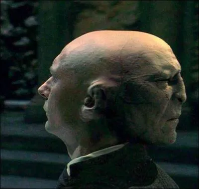 Dans quel professeur Voldemort se cache-t-il ?