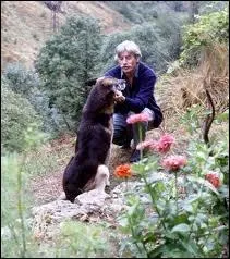 En 1980, Jean Ferrat crivit une chanson en hommage  son chien : 