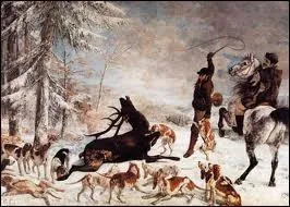 Chasse  cerfs, l'hallali du cerf.