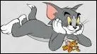 Dans le dessin anim  Tom et Jerry , aprs quel animal Tom court-il sans cesse ?