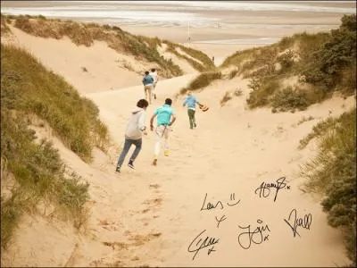 Qui aime les 'cougars' ?