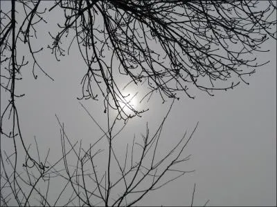 Le gris est le (. . ) du soleil.