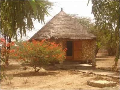 Sachez simplement que l'un d'entre eux nous dit : Avec ma femme le soir, on fait n'golo, n'golo dans la case !