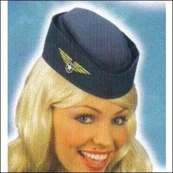 Beaucoup de professions militaires ou en uniforme l'utilisent toujours :