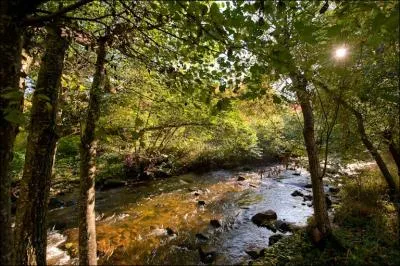 Il y a trois petites rivires dans la Limagne connues sous le nom de Couze, qui en langue celtique, signifie ruisseau. O vont-elle se jeter ?