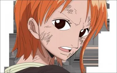 Qui veut faire une carte du monde entier ?