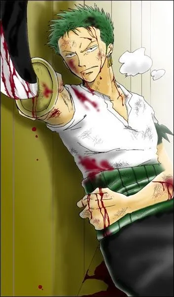 Qui est le bras droit de Luffy ?