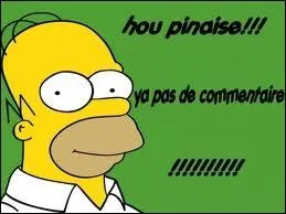 De quel instrument Lisa joue-t-elle ?