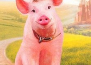 Quiz Les animaux clbres