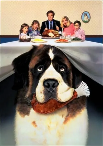 Comment s'appelle ce magnifique Saint-Bernard qui, suite  un cambriolage, s'enfuit et se retrouve dans la famille nomme Newton ?