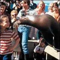 Comment se nomme cette otarie qui devint orpheline aprs que sa mre ait t tue par les pcheurs de la rserve ?