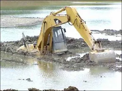 Terminez cette phrase de Jane Birkin  et nous marchons dans ...