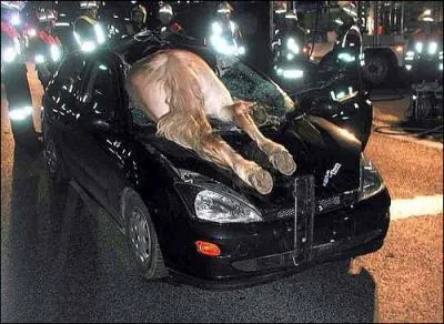 Retrouvez cette phrase bien connue d'une comptine enfantine !