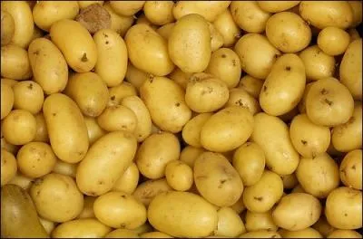 S'agit-il d'un fruit ou d'un lgume ?