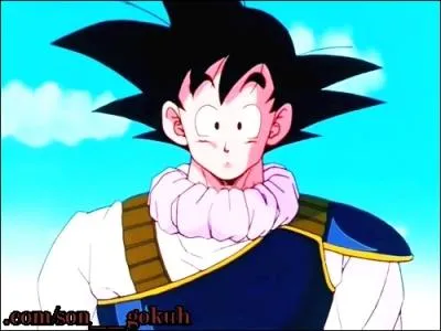 Avec qui Goku apprend-il la tlportation ?